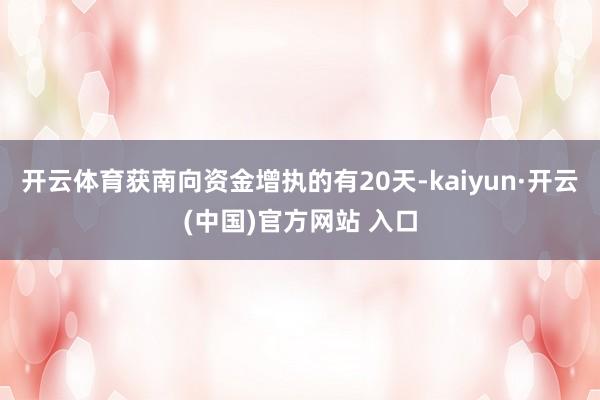 开云体育获南向资金增执的有20天-kaiyun·开云(中国)官方网站 入口