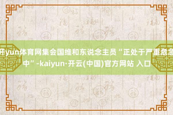 开yun体育网集会国维和东说念主员“正处于严重危急中”-kaiyun·开云(中国)官方网站 入口