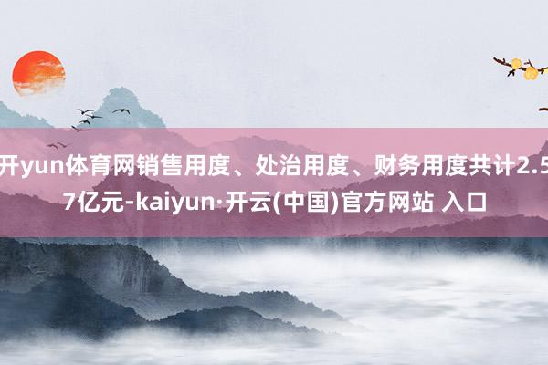 开yun体育网销售用度、处治用度、财务用度共计2.57亿元-kaiyun·开云(中国)官方网站 入口