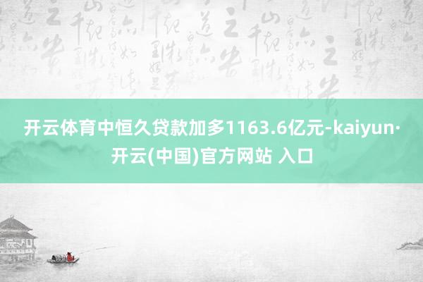 开云体育中恒久贷款加多1163.6亿元-kaiyun·开云(中国)官方网站 入口