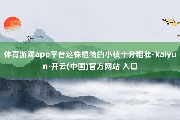 体育游戏app平台这株植物的小枝十分粗壮-kaiyun·开云(中国)官方网站 入口