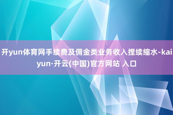 开yun体育网手续费及佣金类业务收入捏续缩水-kaiyun·开云(中国)官方网站 入口